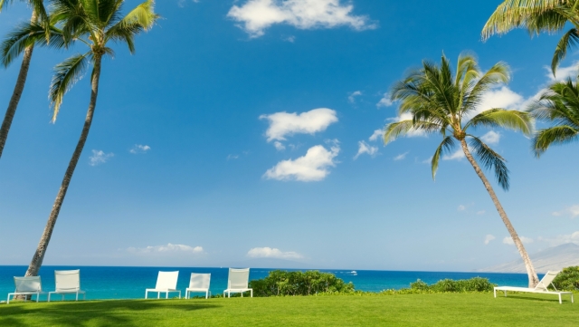 直播行业的前景和现状？