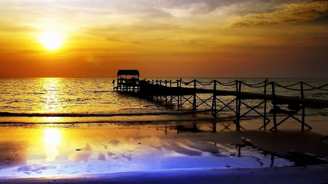 短视频对大脑的伤害有多大？